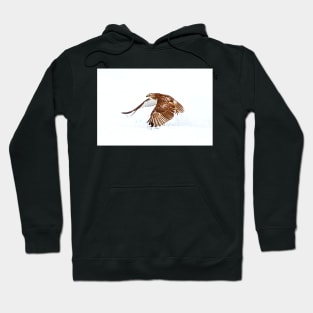 Red-tailed Hawk - Uprising Hoodie